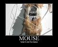 Click image for larger version

Name:	mouse.jpg
Views:	365
Size:	34.8 KB
ID:	591811