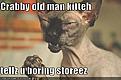 Click image for larger version

Name:	funny-pictures-old-man-cat.jpg
Views:	305
Size:	28.5 KB
ID:	592198