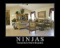 Click image for larger version

Name:	ninjas.jpg
Views:	377
Size:	59.1 KB
ID:	592254