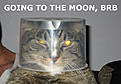 Click image for larger version

Name:	moon.jpg
Views:	268
Size:	23.8 KB
ID:	592361