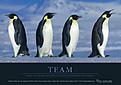 Click image for larger version

Name:	Motivational_Penguins.jpg
Views:	282
Size:	32.5 KB
ID:	592475