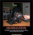 Click image for larger version

Name:	Humiliation.jpg
Views:	248
Size:	38.3 KB
ID:	593471